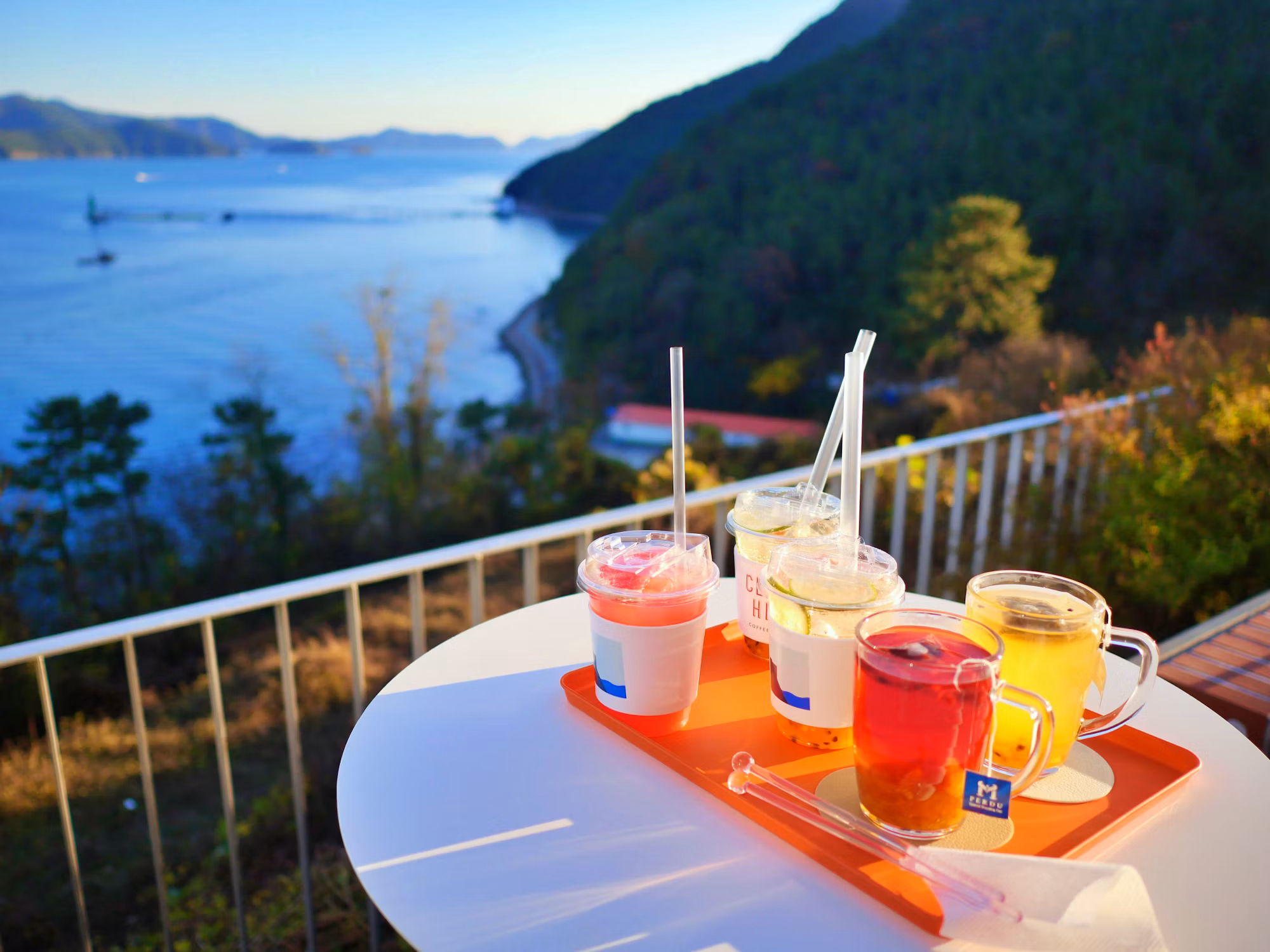 Savoring the Seasons: A Guide to Crafting Seasonal Juices
